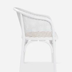Lulu And Georgia Earth Tones Summer Dining Chair