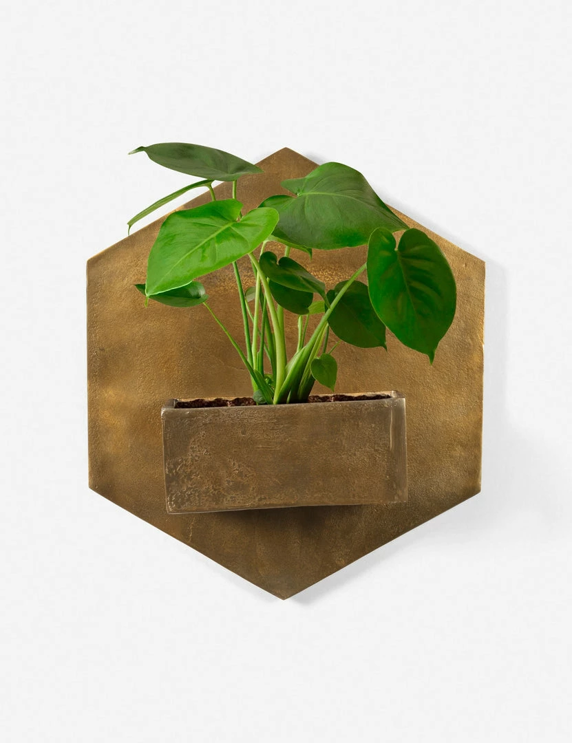 Budget 🥰 Lulu And Georgia Outdoor Collection Larayne Hexagon Wall Planter ✨ 3 Lulu And Georgia Outdoor Collection Larayne Hexagon Wall Planter