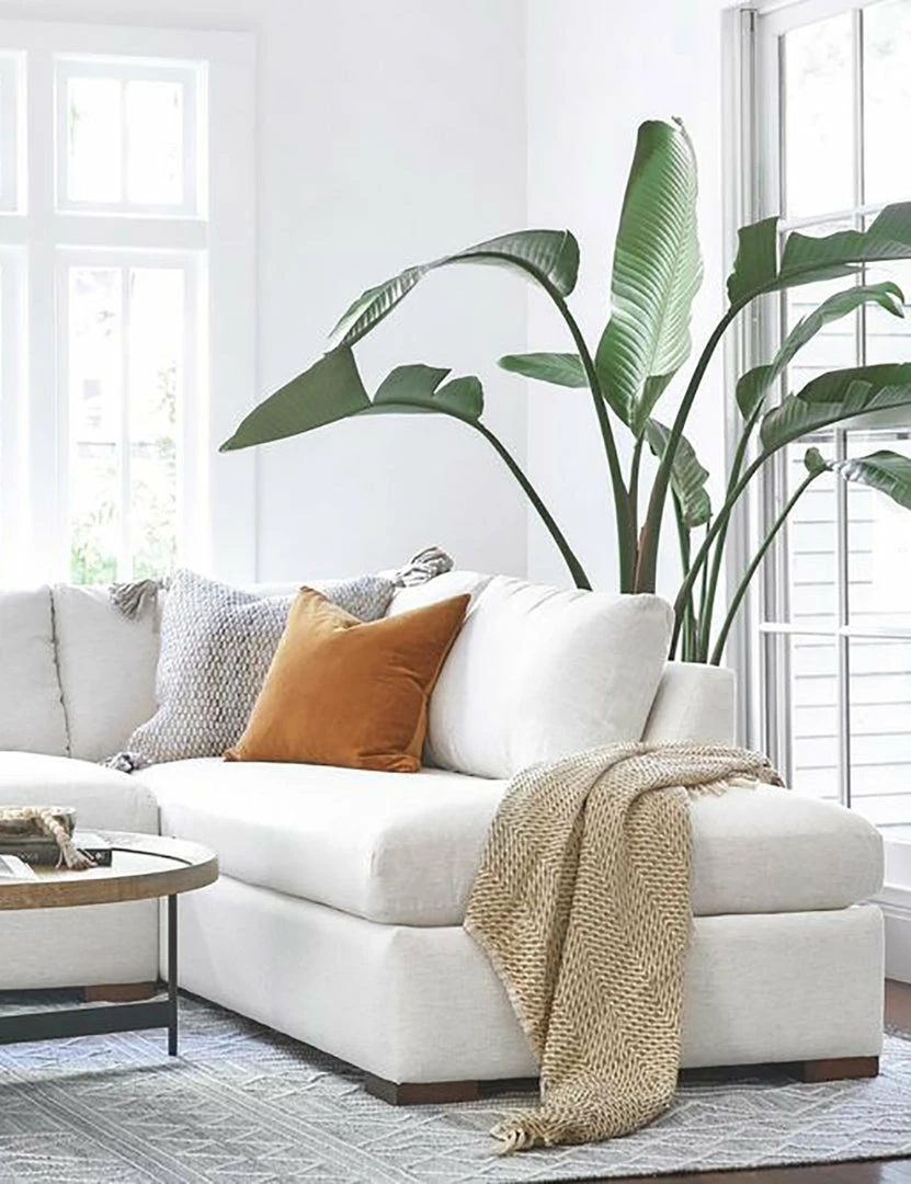 Top 10 ✔️ Lulu And Georgia Furniture Callahan Bumper Sectional Sofa ⭐ 44 Lulu And Georgia Furniture Callahan Bumper Sectional Sofa