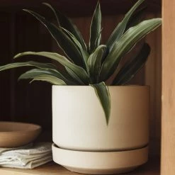 Lulu And Georgia LBE Design Ceramic Indoor / Outdoor Planter