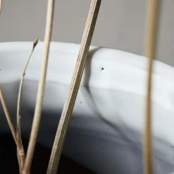 Wholesale 🤩 Lulu And Georgia Lan Vase 👍 12 Lulu And Georgia Lan Vase