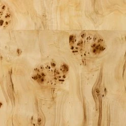 Lulu And Georgia Lorca Burl Wood Desk