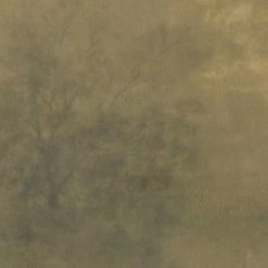 Lulu And Georgia 'Expanse' Wall Art By Aileen Fitzgerald Walls