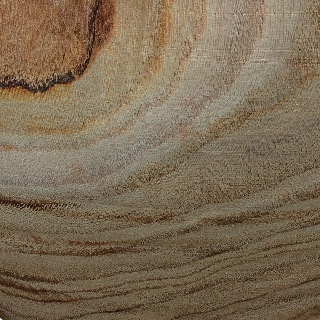 Coupon ⌛ Lulu And Georgia Décor Jocelynn Vase 🎁 4 Lulu And Georgia Décor Jocelynn Vase