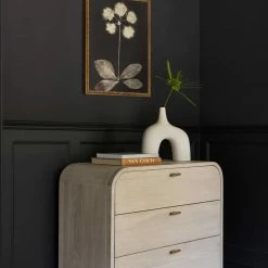 Lulu And Georgia Walls 'Botanical Photogram' Print