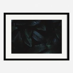 Lulu And Georgia Walls 'Still Life 3' Photography Print By Ashley Johnson