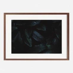 Lulu And Georgia Walls 'Still Life 3' Photography Print By Ashley Johnson