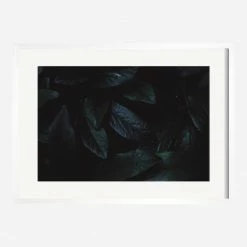 Lulu And Georgia Walls 'Still Life 3' Photography Print By Ashley Johnson