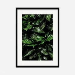 Lulu And Georgia 'Still Life 7' Photography Print By Ashley Johnson Mossy Greens