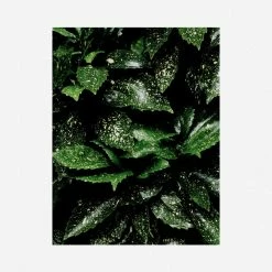 Lulu And Georgia 'Still Life 7' Photography Print By Ashley Johnson Mossy Greens