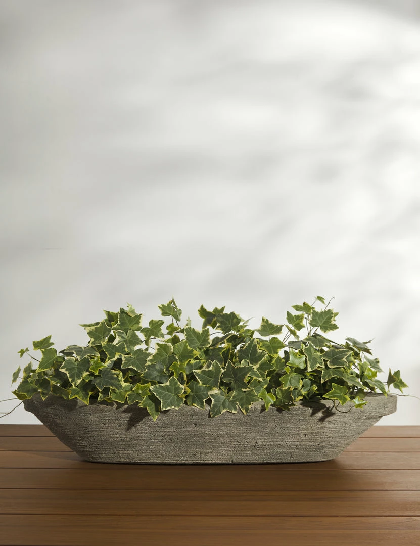 Best reviews of 🥰 Lulu And Georgia New Cast Stone Tabletop Planter By Campania International 🌟 6 Lulu And Georgia New Cast Stone Tabletop Planter By Campania International