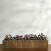 Lulu And Georgia Basic Element Long Planter By Campania International
