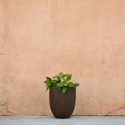 Lulu And Georgia Bradford Planter By Campania International New