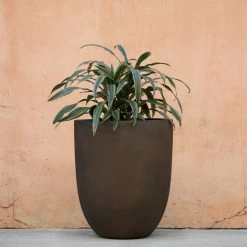 Lulu And Georgia Bradford Planter By Campania International New