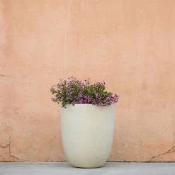 Lulu And Georgia Bradford Planter By Campania International New