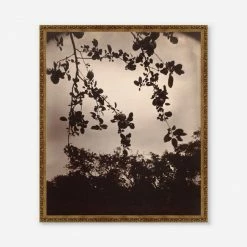Lulu And Georgia 'Branche De Pommier' Print By Eugène Atget Earth Tones