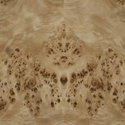 Lulu And Georgia Brisa Burl Wood Coffee Table