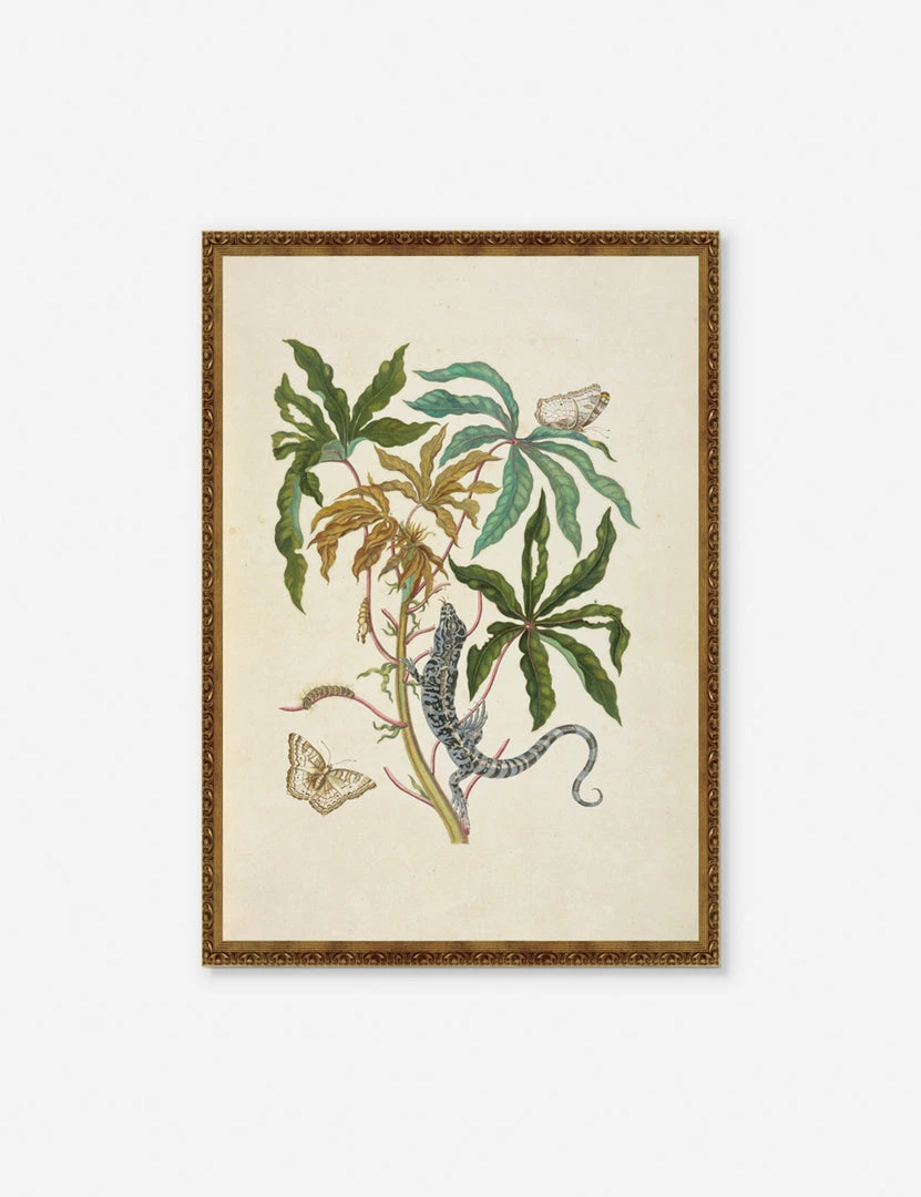 Flash Sale π Lulu And Georgia 'Cassava With White Peacock Butterfly And Young Golden Tegu' Wall Art By Maria Sibylla Meria π 3 Lulu And Georgia 'Cassava With White Peacock Butterfly And Young Golden Tegu' Wall Art By Maria Sibylla Meria