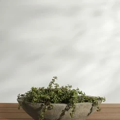 Best reviews of 🥰 Lulu And Georgia New Cast Stone Tabletop Planter By Campania International 🌟 19 Lulu And Georgia New Cast Stone Tabletop Planter By Campania International