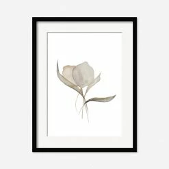 Lulu And Georgia Earth Tones 'Pale Bouquet' Print By Céline Nordenhed