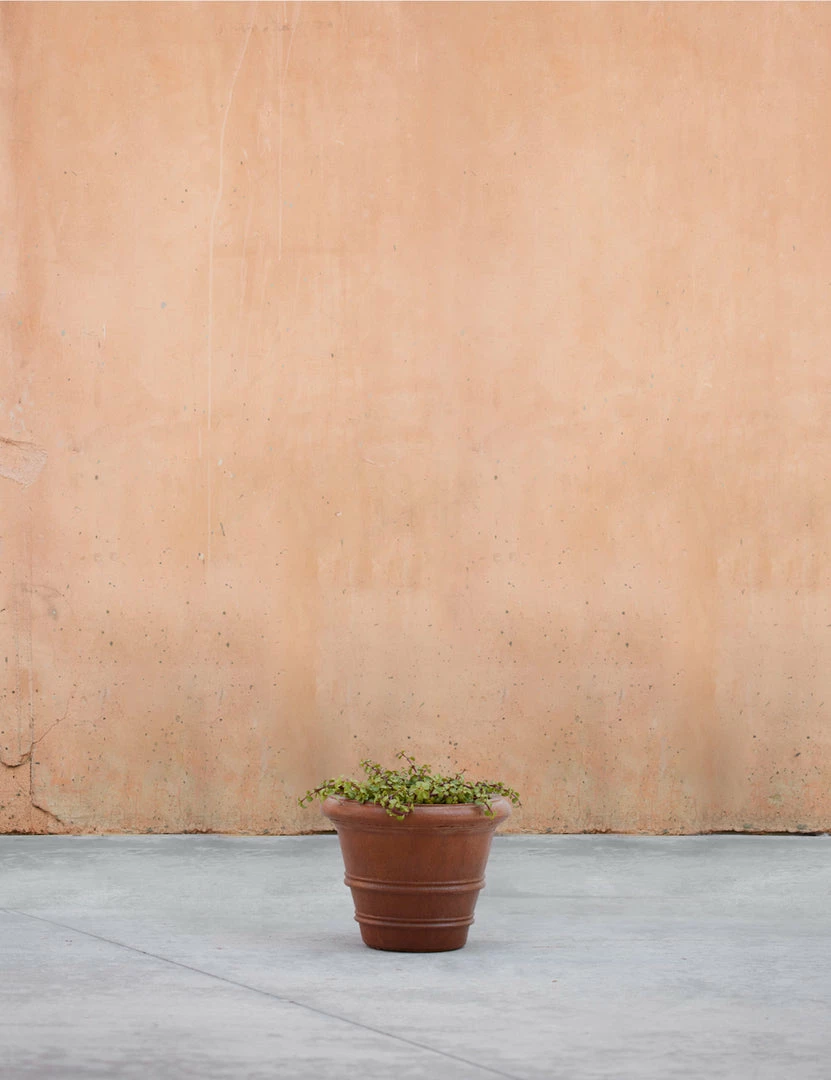 Buy ✨ Lulu And Georgia New Classic Rolled Rim Planter By Campania International 💯 6 Lulu And Georgia New Classic Rolled Rim Planter By Campania International