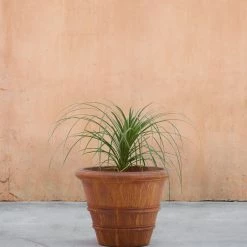 Lulu And Georgia New Classic Rolled Rim Planter By Campania International