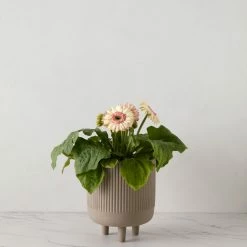 Lulu And Georgia Engobe Bowl By Kristina Dam Studio