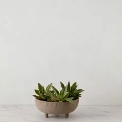 Lulu And Georgia Engobe Bowl By Kristina Dam Studio