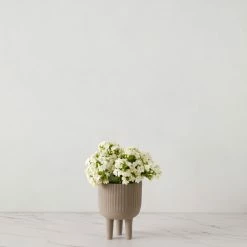 Lulu And Georgia Engobe Bowl By Kristina Dam Studio