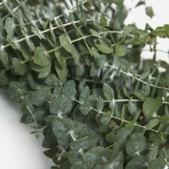 Lulu And Georgia Fresh Handmade Baby Blue Eucalyptus Wreath