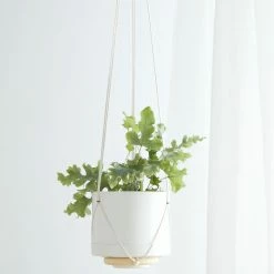 Lulu And Georgia Nilou Hanging Planter + Pot New