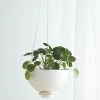 Lulu And Georgia Nilou Hanging Planter + Pot New