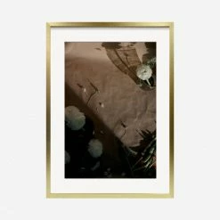 Lulu And Georgia 'Still Life 1' Photography Print By Ashley Johnson Earth Tones