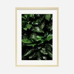 Lulu And Georgia 'Still Life 7' Photography Print By Ashley Johnson Mossy Greens