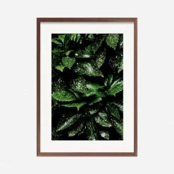 Lulu And Georgia 'Still Life 7' Photography Print By Ashley Johnson Mossy Greens