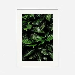 Lulu And Georgia 'Still Life 7' Photography Print By Ashley Johnson Mossy Greens