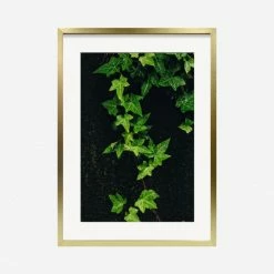 Lulu And Georgia 'Still Life 15' Photography Print By Ashley Johnson