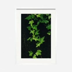 Lulu And Georgia 'Still Life 15' Photography Print By Ashley Johnson