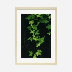 Lulu And Georgia 'Still Life 15' Photography Print By Ashley Johnson