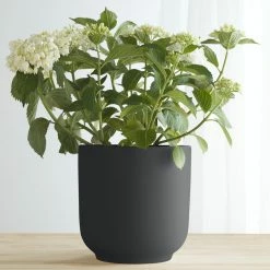 Cheap ✔️ Lulu And Georgia LBE Design Ceramic Bell Shaped Planter 😍 14 Lulu And Georgia LBE Design Ceramic Bell Shaped Planter
