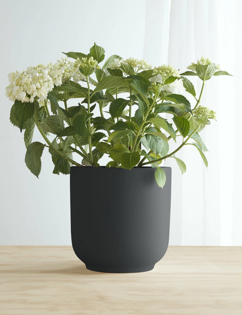 Cheap ✔️ Lulu And Georgia LBE Design Ceramic Bell Shaped Planter 😍 5 Lulu And Georgia LBE Design Ceramic Bell Shaped Planter