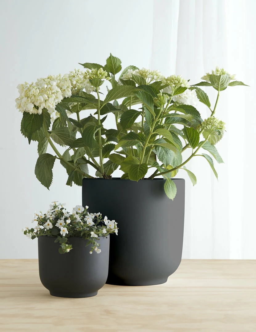 Cheap ✔️ Lulu And Georgia LBE Design Ceramic Bell Shaped Planter 😍 3 Lulu And Georgia LBE Design Ceramic Bell Shaped Planter