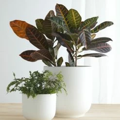 Lulu And Georgia LBE Design Ceramic Bell Shaped Planter