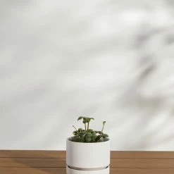 Lulu And Georgia LBE Design Ceramic Indoor / Outdoor Planter