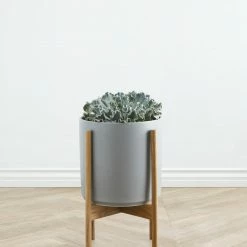 Lulu And Georgia Accessories + Décor LBE Design Ceramic Planter + Teak Stand