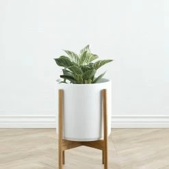 Lulu And Georgia Accessories + Décor LBE Design Ceramic Planter + Teak Stand