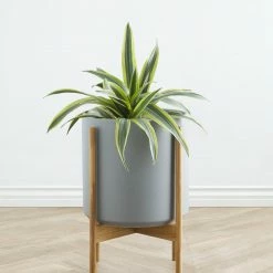 Lulu And Georgia Accessories + Décor LBE Design Ceramic Planter + Teak Stand