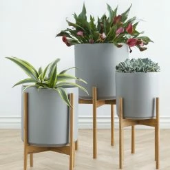 Lulu And Georgia Accessories + Décor LBE Design Ceramic Planter + Teak Stand