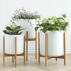 Lulu And Georgia Accessories + Décor LBE Design Ceramic Planter + Teak Stand
