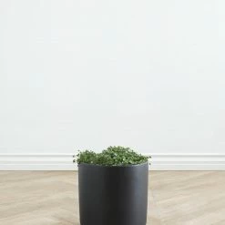 Lulu And Georgia LBE Design Ceramic Planter